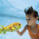 RAINBOW REEF™ PUFFER FISH
