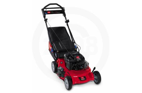 Click here to view full image.