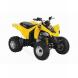 2009 DS 250