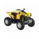 2009 Renegade 800R EFI