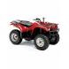2009 Bruin 350