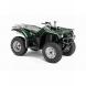 2009 Grizzly 350 Auto. 4x4