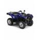 2009 Grizzly 550 FI EPS