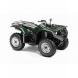 2009 Grizzly 350 Auto. 4x4 IRS