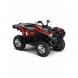 2009 Grizzly 550 FI EPS SE