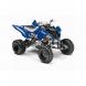 2009 Raptor 700R