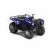 2009 Grizzly 125