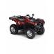 2009 Grizzly 700 FI EPS SE