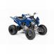 2009 Raptor 250