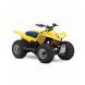 2009 QuadSport Z50