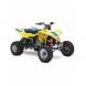 2009 QuadRacer R450