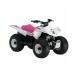 2009 QuadSport Z50 Special Edition