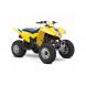 2009 QuadSport Z250