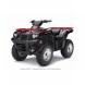 2009 Brute Force 750 4x4i