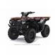 2009 Brute Force® 650 4x4i