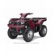 2009 Brute Force® 750 4x4i