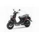 2009 Zuma