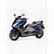 2009 TMAX