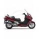 2009 Silver Wing