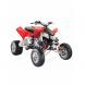 2009 Outlaw® 450 MXR