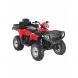 2009 Sportsman® X2 500 EFI