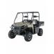 2009 Ranger XP® Sandstone Metallic LE