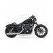 2009 Sportster® Iron 883™