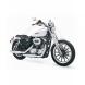 2009 Sportster® 1200 Low