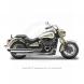 2009 Vulcan® 2000