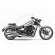2009 Raider