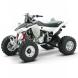 2009 TRX400X