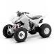 2009 TRX300X
