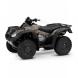 2009 FourTrax Rincon GPScape