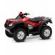 2009 FourTrax Rincon