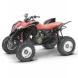 2009 TRX700XX