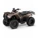 2009 FourTrax Rancher 4X4 ES