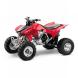 2009 TRX450R (Kick Start)