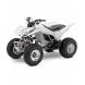 2009 TRX250X