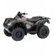 2009 TRX680FG Rincon