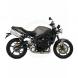2009 Street Triple R