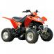 2009 Mongoose 300
