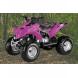 2009 Viper 90R