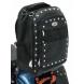 HIGH-ROLLER SISSY BAR BAGS