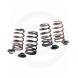 PERFORMANCE VALVE SPRING KITS (Manley)
