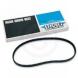 REAR DRIVE BELTS