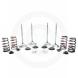 “RACE MASTER” VALVE TRAIN KITS (Manley)