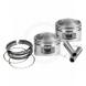 PISTON KITS FOR 66-84 SHOVELHEADS
