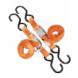 ANCRA CLASSIC TIEDOWNS (Ancra)