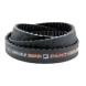 DAYCO PANTHER FINAL DRIVE REPLACEMENT BELTS (Belt Drives Limited)