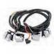 LATE STYLE HANDLEBAR SWITCHES (Biker's Choice)